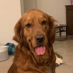 22 064 Bill now Murphy