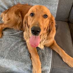 23 016 Cleveland now Meg