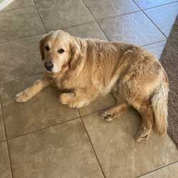 23 017 Akron now Teddy