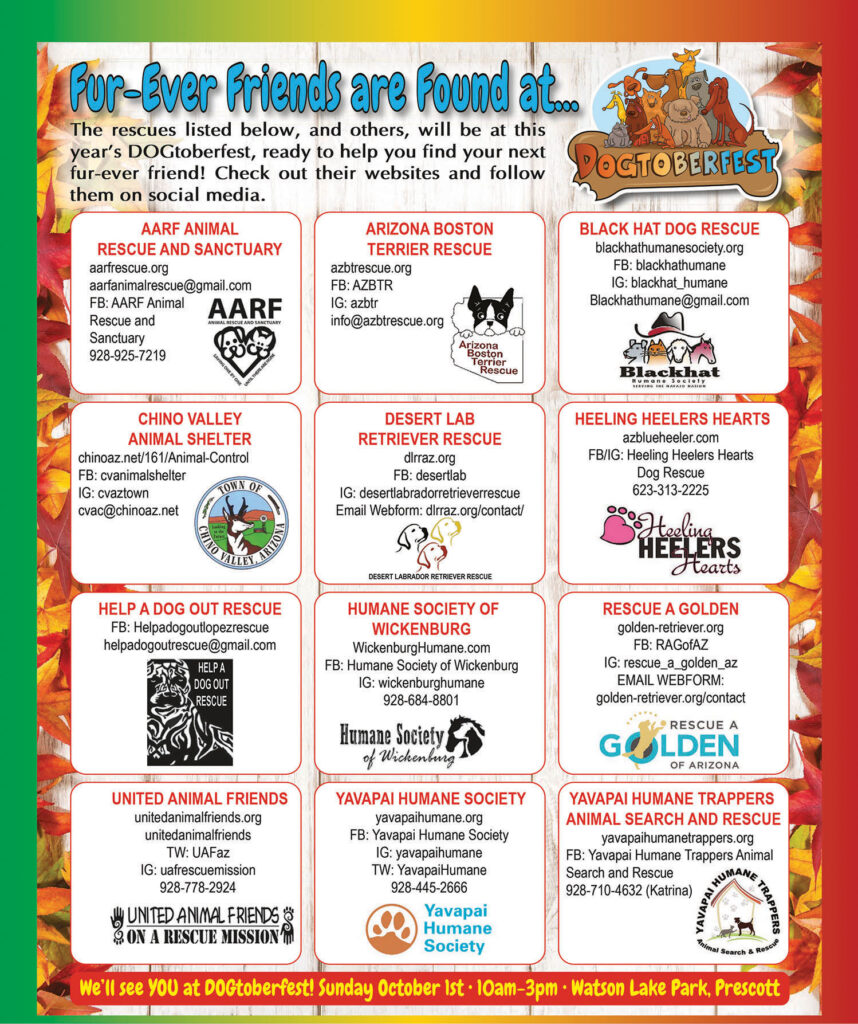 DOGfest 2023 Page 4 858x1024 DOGfest 2023 Page 4 858x1024