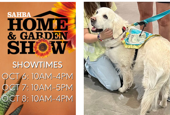SAHBA show times and golden retriever