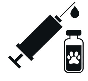 syringe and bottle graphic AdobeStock 269677956