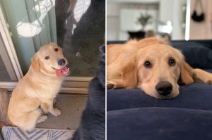 23 034 Quincy now Booker 2