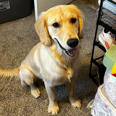 23 042 Appa now Butters