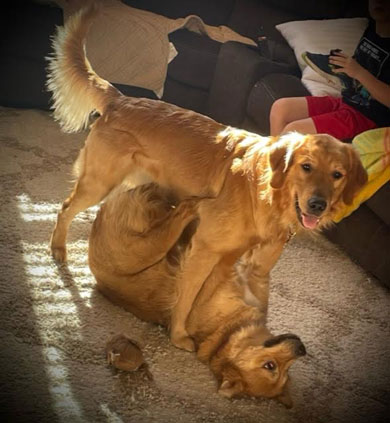 23 009 Cincinnati now Cincy