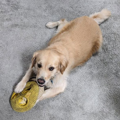 23 030 Ali now Alice