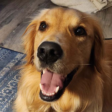 23 070 Tony now Keeper