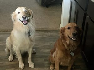 23 068 Bailey 2 23 068 Bailey 2