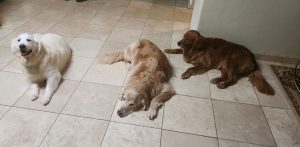 23 069 Beverly now Mia1