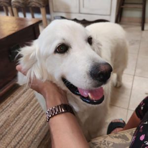 23 069 Beverly now Mia2