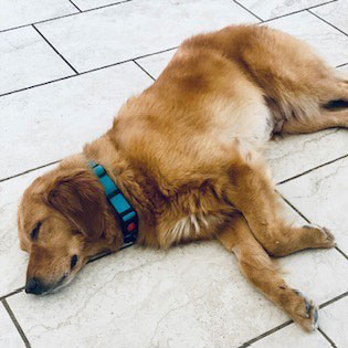 23 070 Geneva now Nova