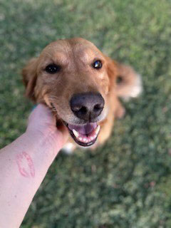 23 070 Geneva now Nova1