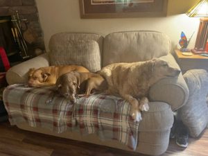 23 077 Casey2 23 077 Casey2