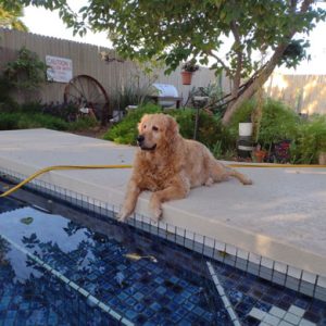 23 077 Casey3 23 077 Casey3