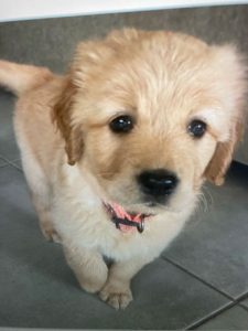 23 084 Bella now Sedona1