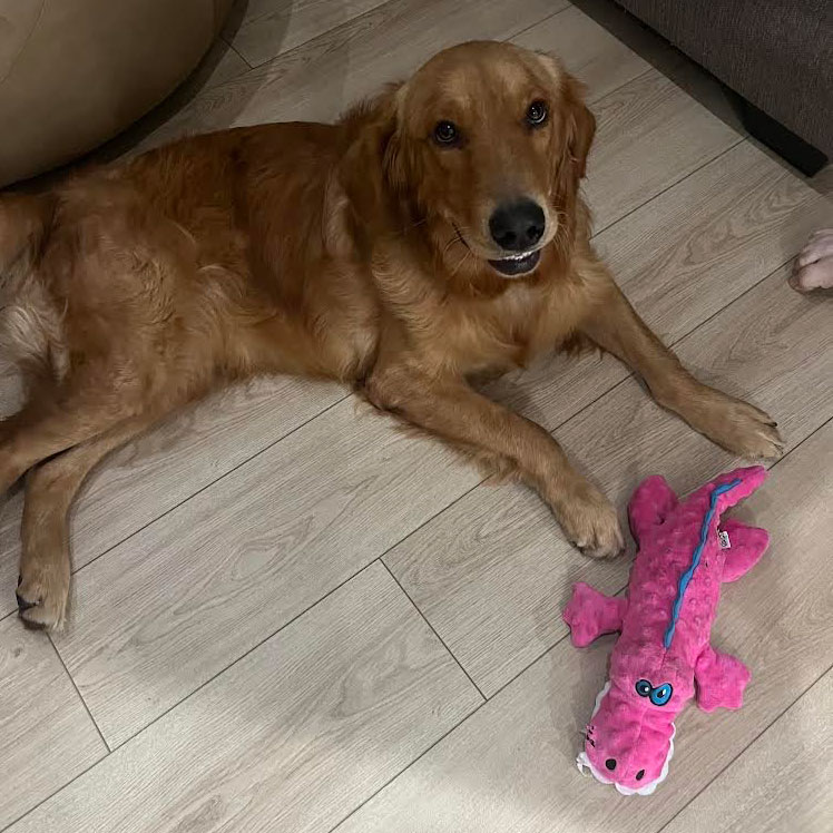 23 108 Max now Goose