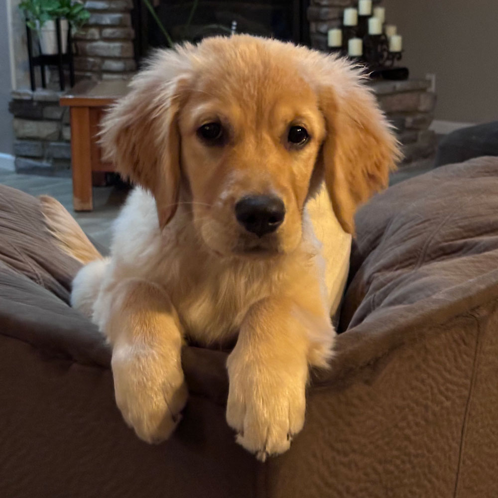 23 111 Sophie now Lexi