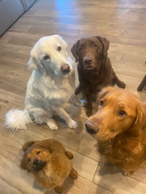 23 121 Pink now Moose1