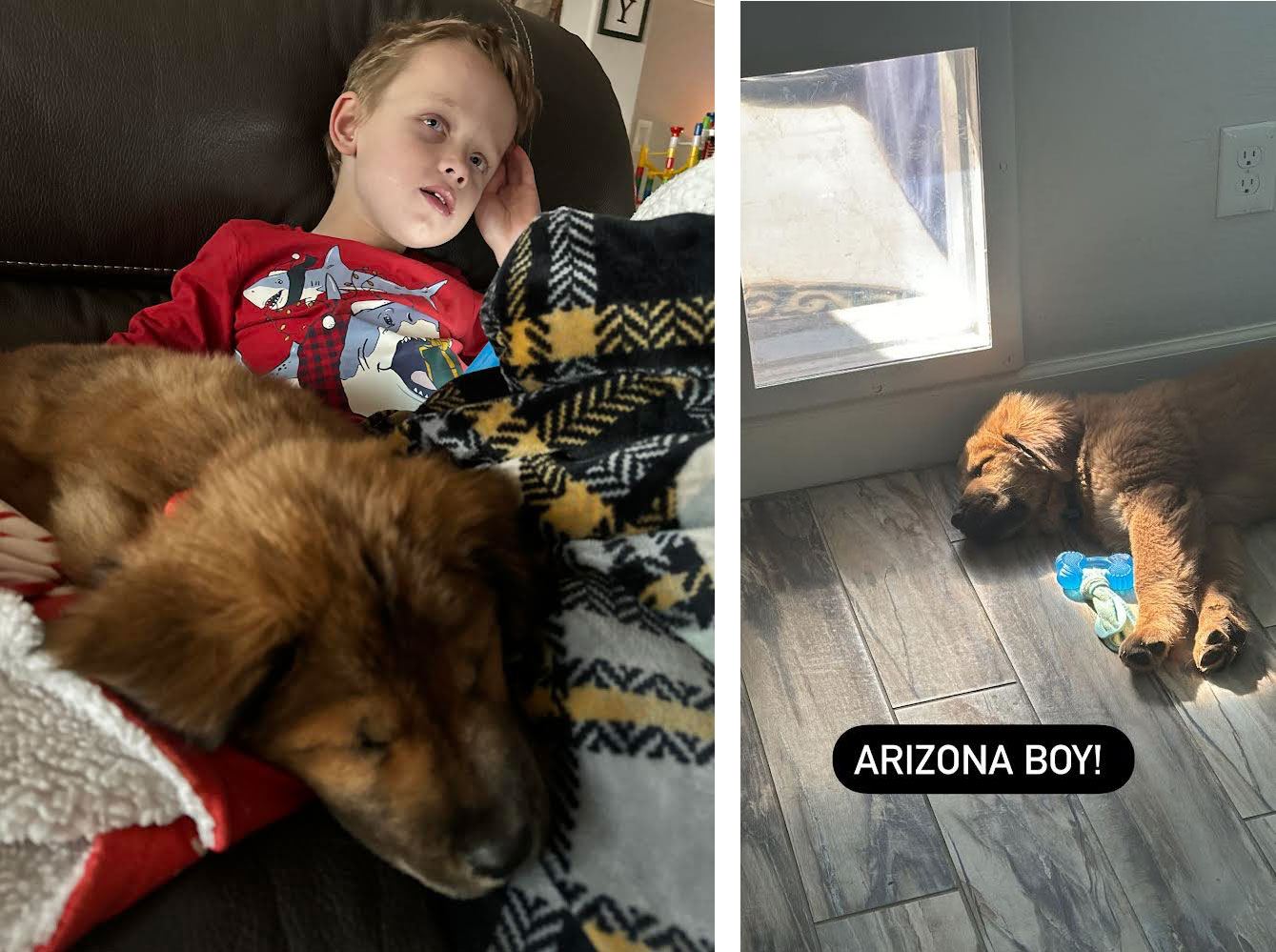 23 122 Purple now Gabriel1