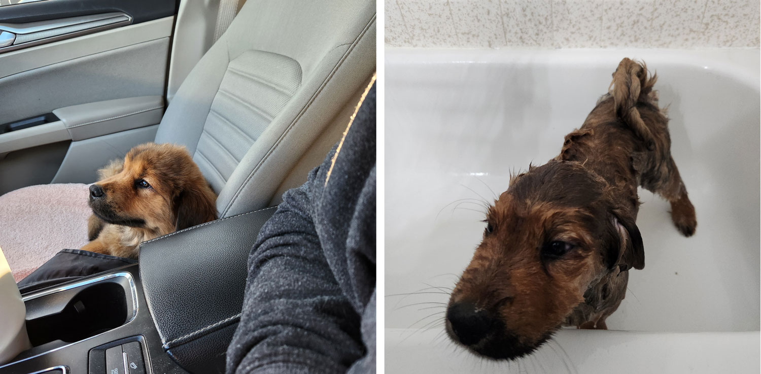 23 129 Orange now Messi1