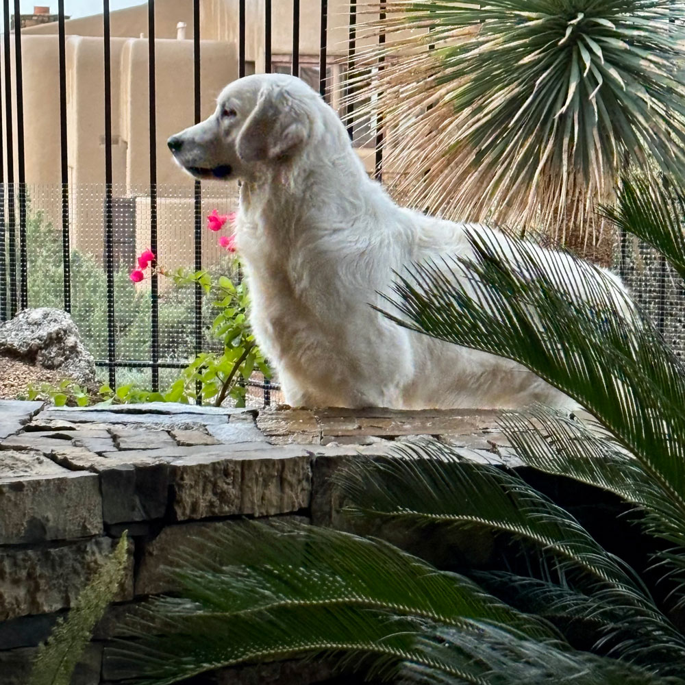 23 139 Phoebe now Maggie