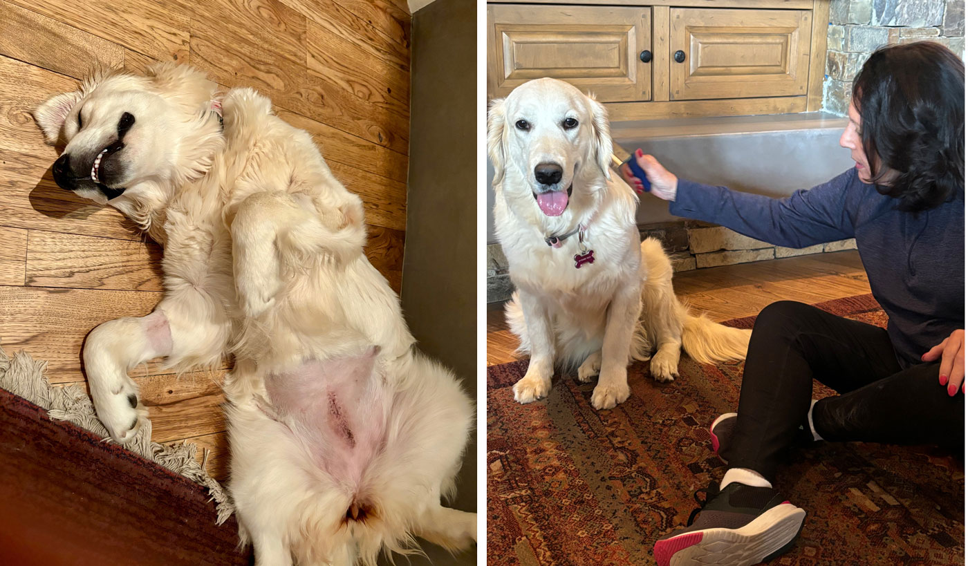 23 139 Phoebe now Maggie1