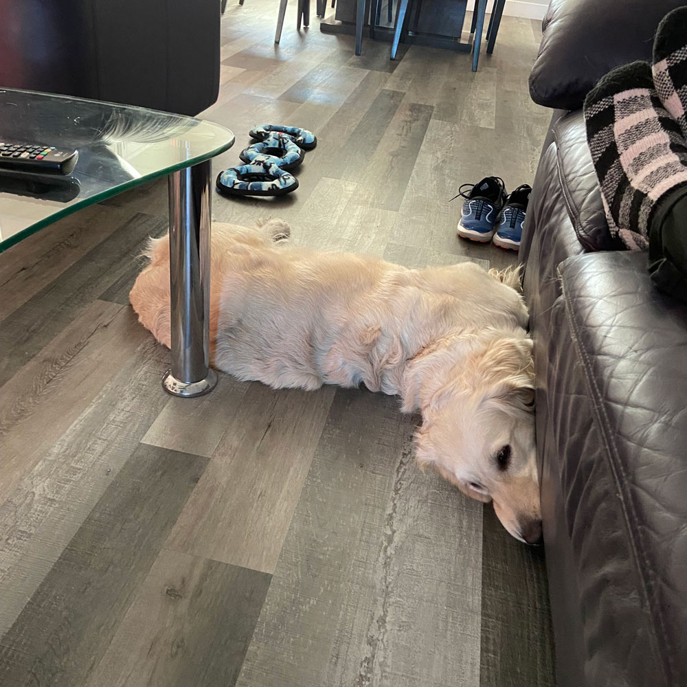 23 142 Stevie Nicks1