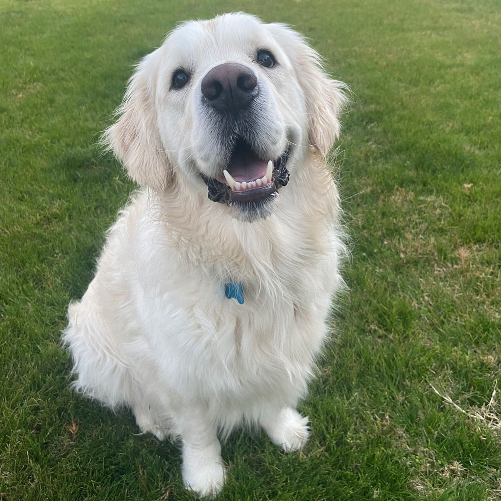 23 149 Sonny now Winston