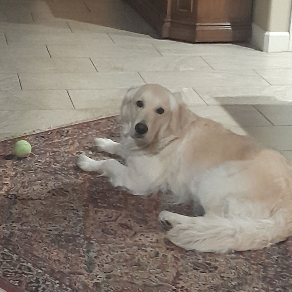 23 134 Judy Bloom now Amme1