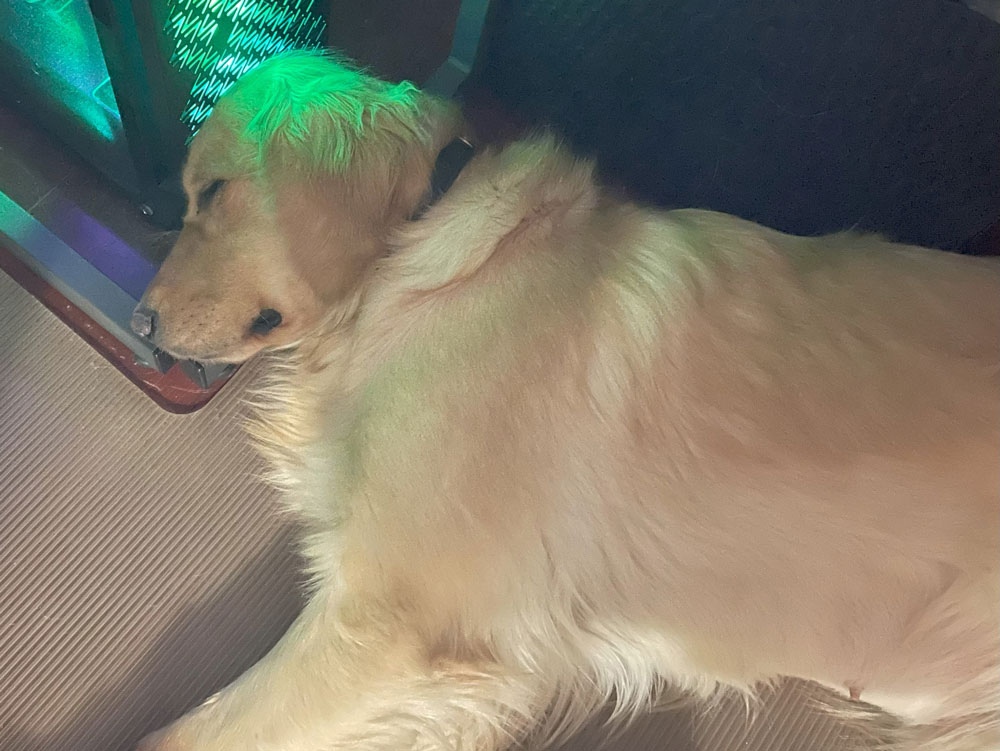 23 144 Stella now Skye1