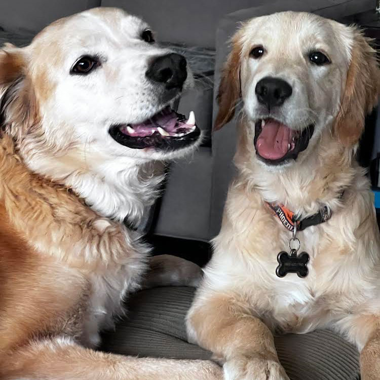 23 145 Solo now Karma1