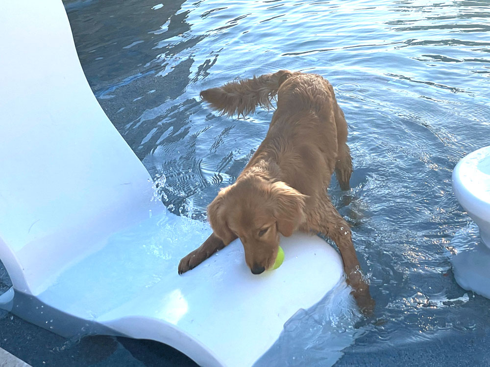 Charlotte now Zoey pool