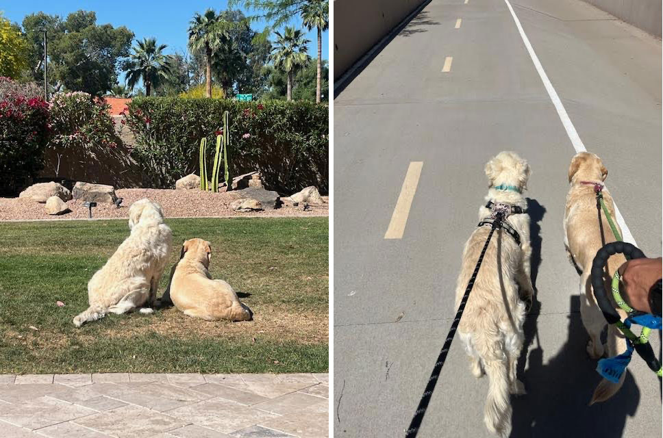 24 011 Claire now Maggie1