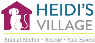 heidis village.png