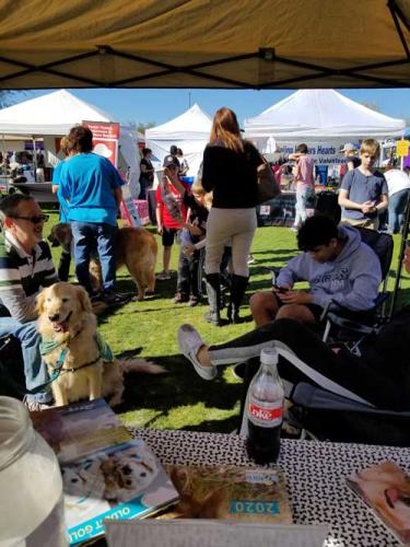 PACC911 Adoptathon Anthem 2020 Photos