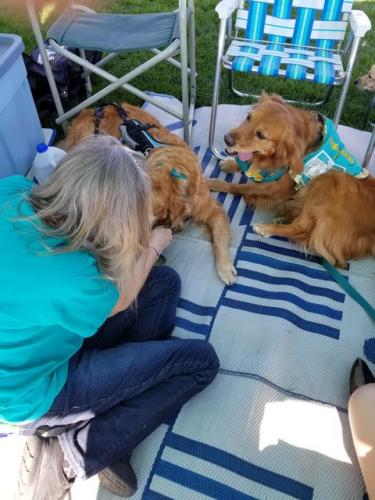 Dogtoberfest 2021 Photos