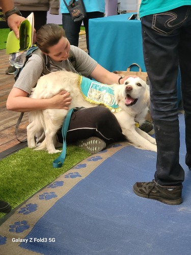 20240315 171807 resized