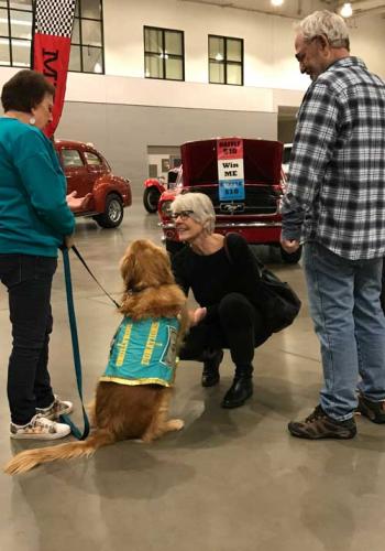 Arizona State Home Show - Tucson - 2020 Photos