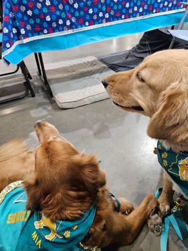 IMG20230414 101723 resized